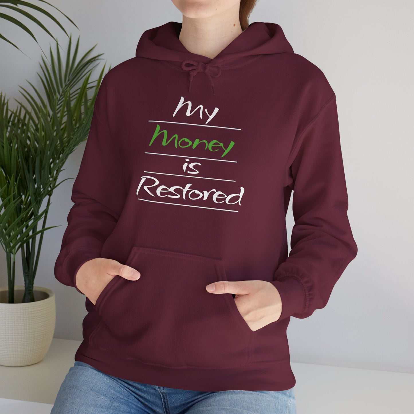 My Money is Restored Hoodie