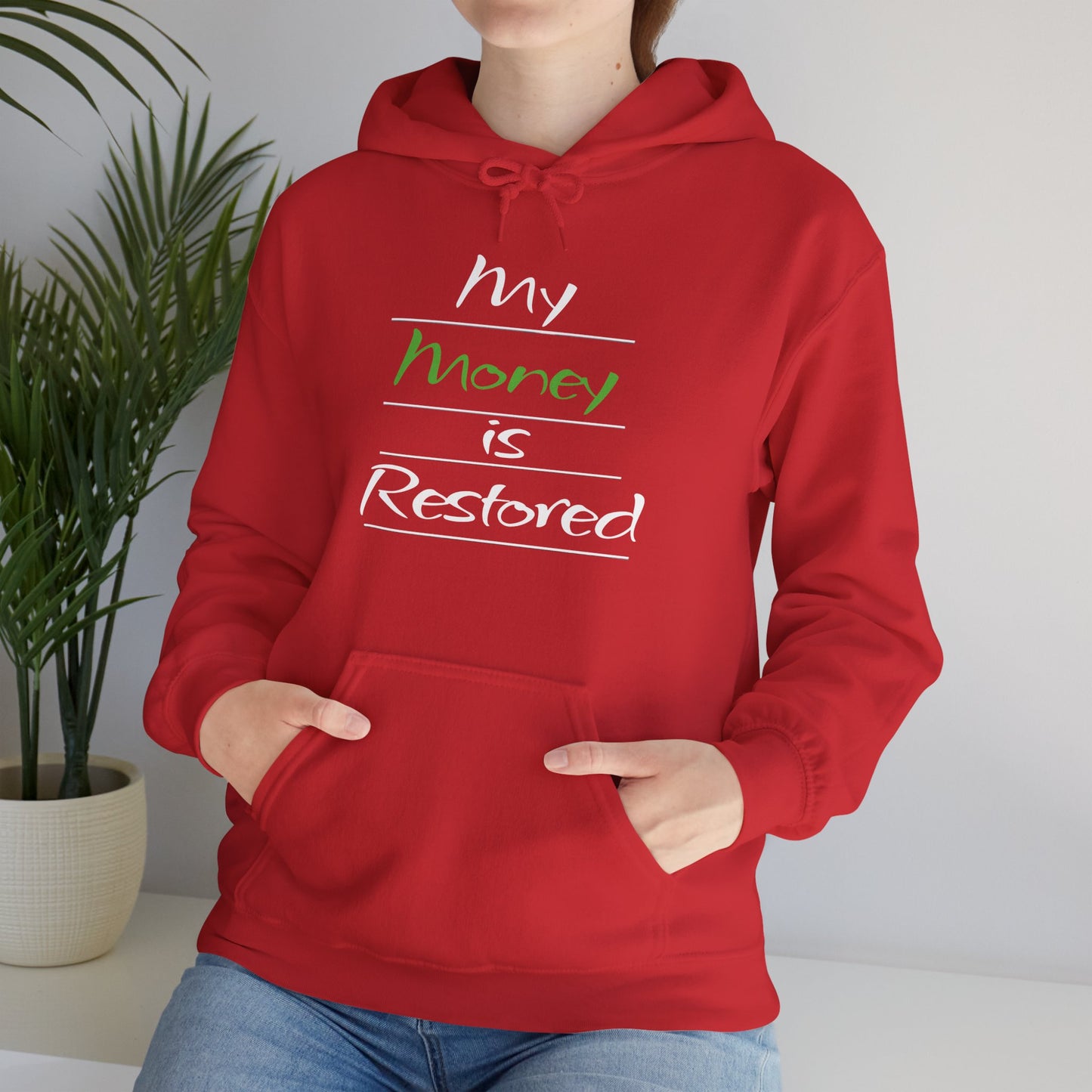 My Money is Restored Hoodie