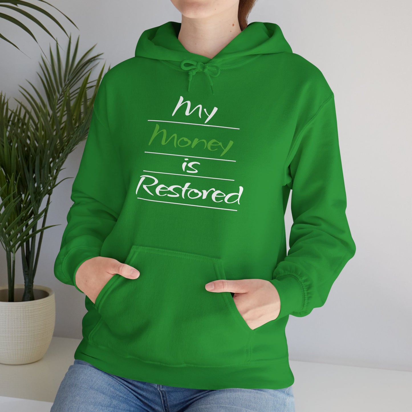 My Money is Restored Hoodie