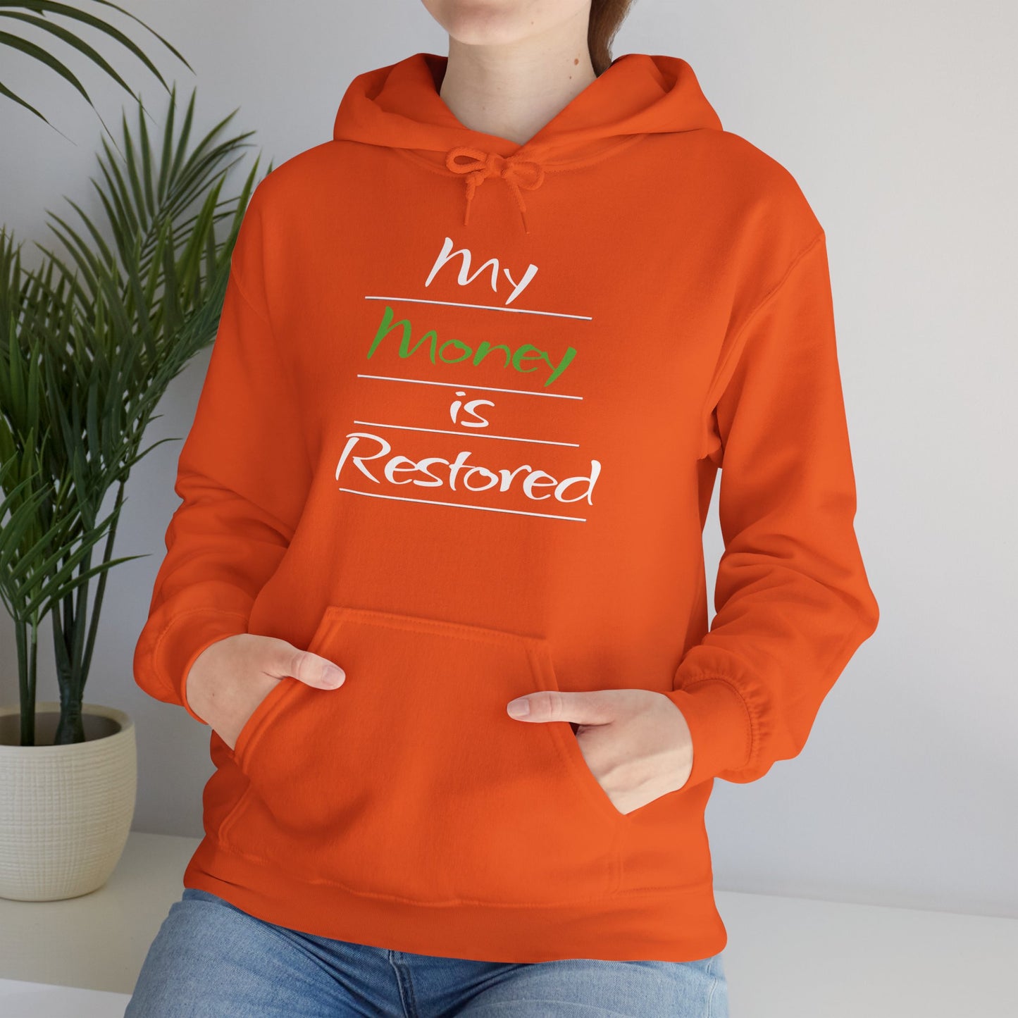 My Money is Restored Hoodie